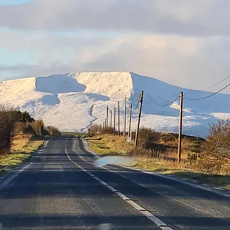 M040, Geesala * Gweesalia