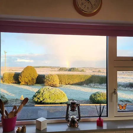 M040, Geesala * Gweesalia